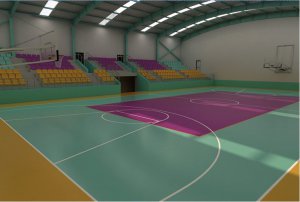 Indoor basketball-volleyball court with SBR rubber roll covered with PU materials