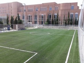 Artificial grass for soccer fields