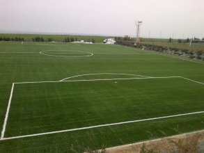 Artificial soccer grass (FIFA)