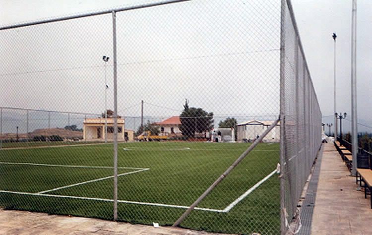 Συνθετικός χλοοτάπητας 55mm